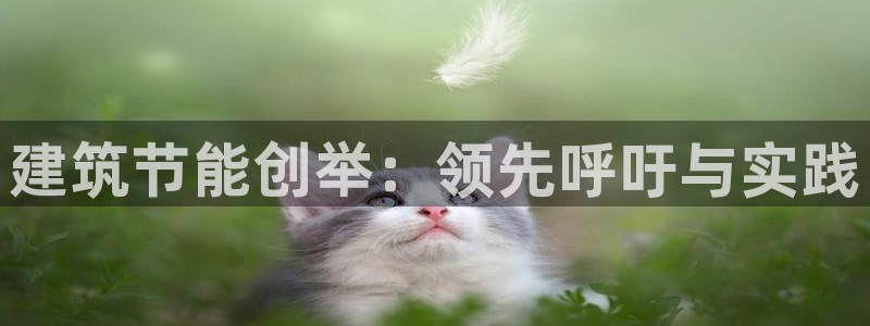 e尊国际客户端下载