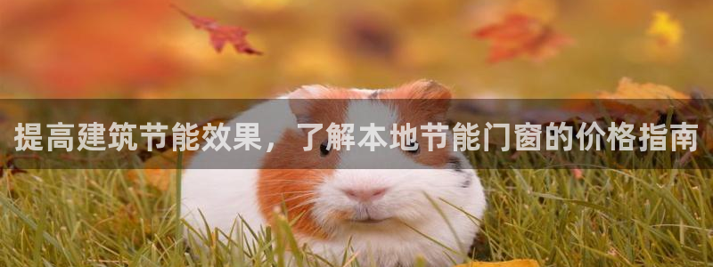 e尊国际是干什么的：提高建筑节能效果，了解本地节能门窗的价格指南