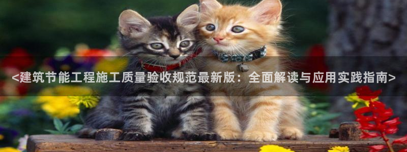谁知道e尊国际的网址：<建筑节能工程施工质量验收规范最新版：全面解读与应用实践指南>