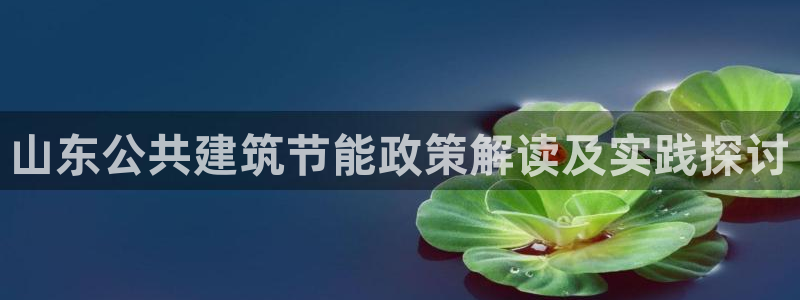 e尊国际app：山东公共建筑节能政策解读及实践探讨