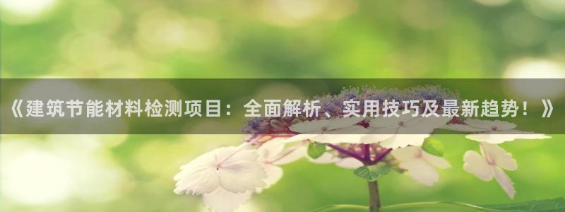 e尊体育：《建筑节能材料检测项目：全面解析、实用技巧及最新趋势！》