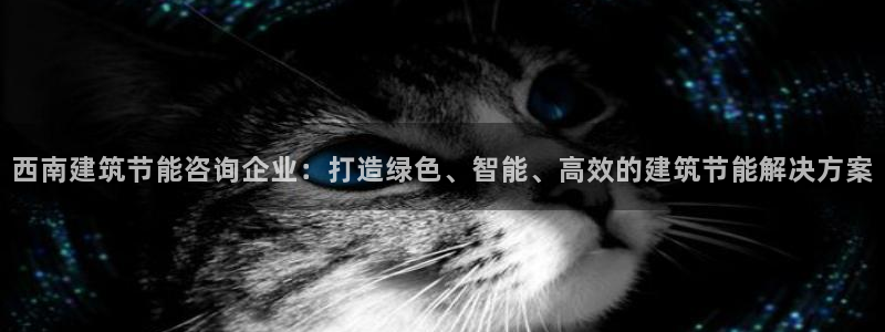 e尊官网：西南建筑节能咨询企业：打造绿色、智能、高效的建筑节能解决方案