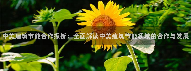 e尊国际官网：中美建筑节能合作探析：全面解读中美建筑节能领域的合作与发展