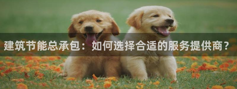 e尊电竞：建筑节能总承包：如何选择合适的服务提供商？