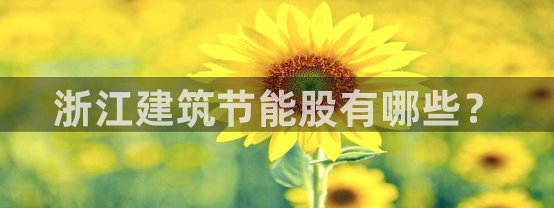 尊亿游戏国际官网：浙江建筑节能股有哪些？