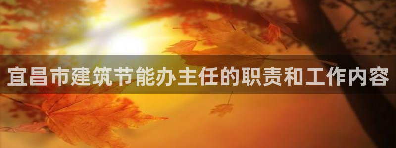 e尊国际官方网站：宜昌市建筑节能办主任的职责和工作内容