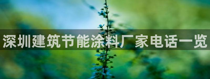 e尊国际-e尊国际官网