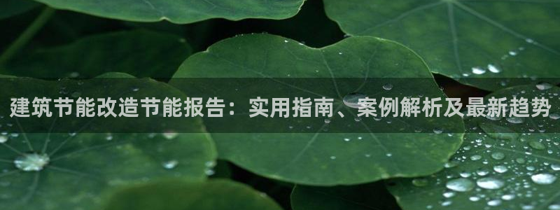 e尊国际地址