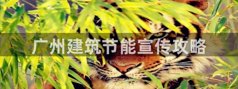 E尊国际