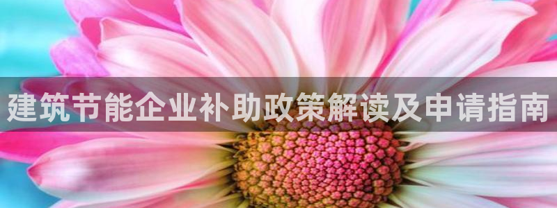 E尊国际