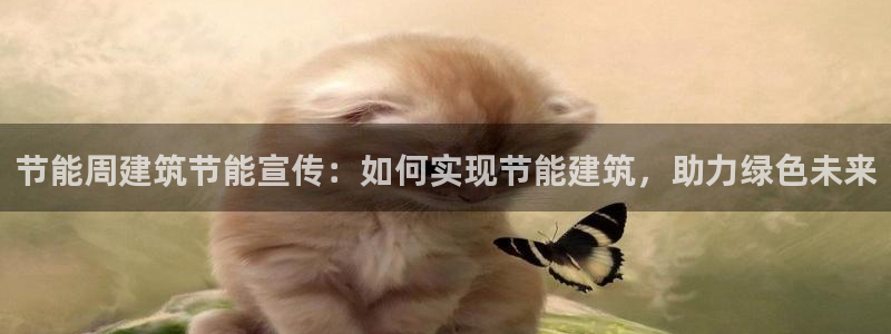 e尊国际-e尊国际官网