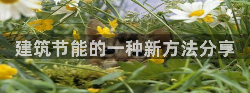 e尊官网