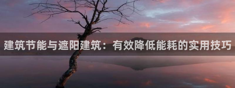 e尊国际平台