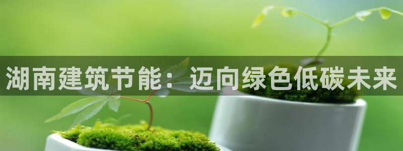 e尊国际客户端下载