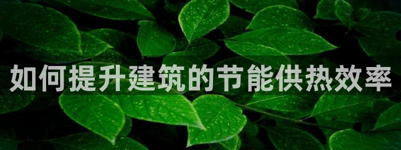 尊亿娱乐国际官网