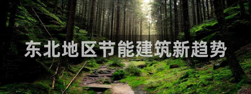 e尊国际平台