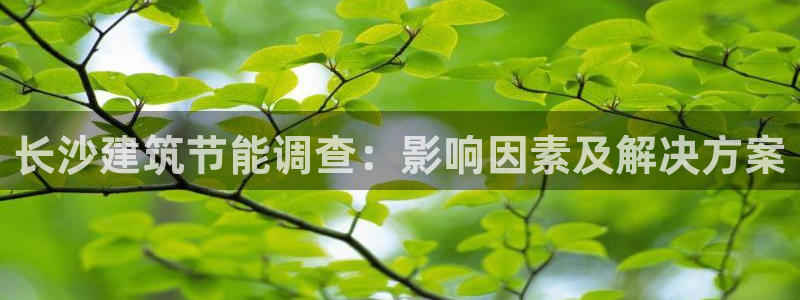 e尊国际app