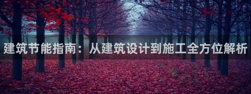 e尊国际网址