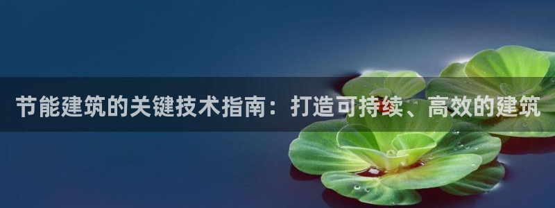 e尊国际官网app