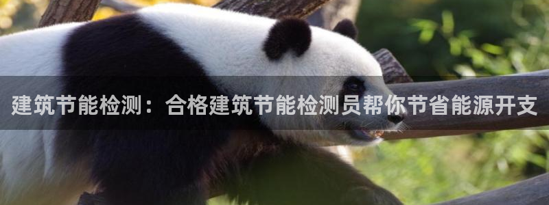 谁知道e尊国际的网址