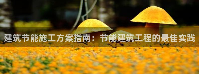 e尊国际平台
