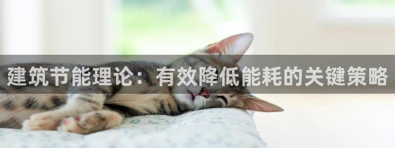 e尊国际平台