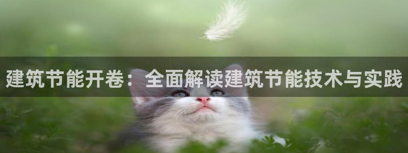 尊亿游戏国际官网