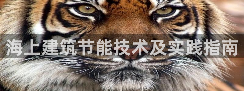 E尊国际网站
