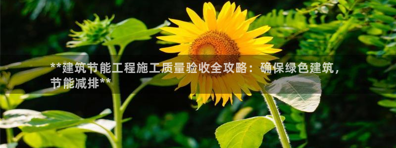 谁知道e尊国际的网址