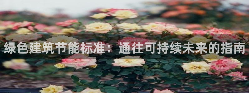 e尊国际是个黑网