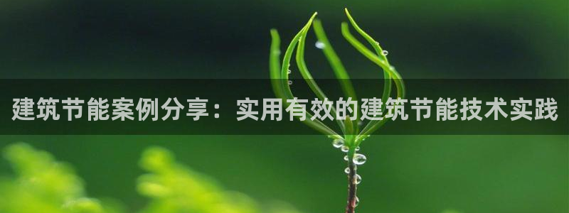 e尊国际可靠吗