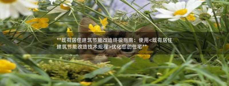 e尊国际的手机登录网站