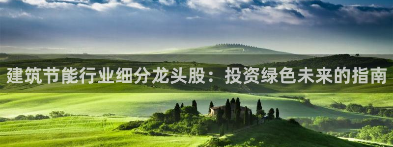 e尊国际官网app：建筑节能行业细分龙头股：投资绿色未来的指南
