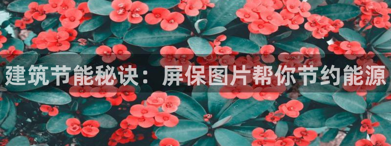 E尊国际网站：建筑节能秘诀：屏保图片帮你节约能源