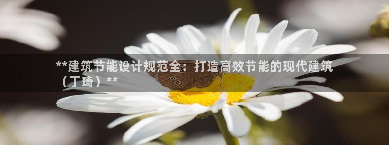 e尊官网：**建筑节能设计规范全：打造高效节能的现代建筑
（丁琦）**