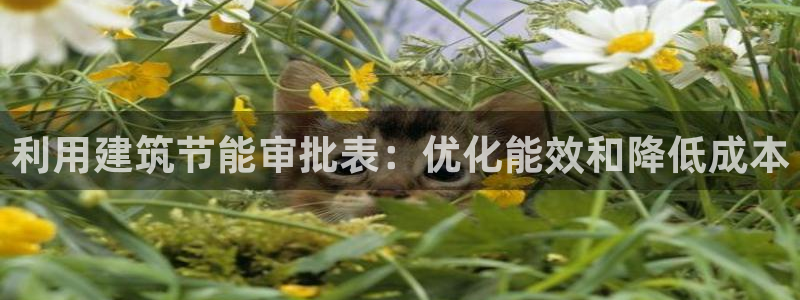 e尊国际平台：利用建筑节能审批表：优化能效和降低成本