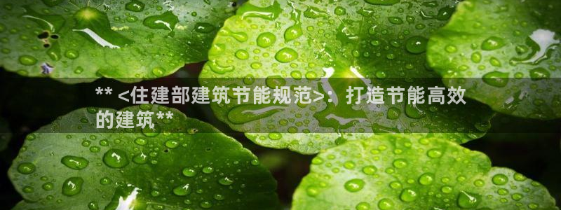 e尊国际网址：** <住建部建筑节能规范>：打造节能高效
的建筑**