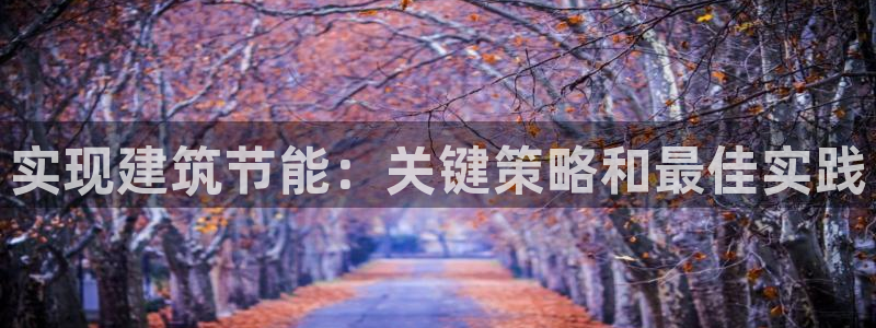 e尊国际-e尊国际官网：实现建筑节能：关键策略和最佳实践