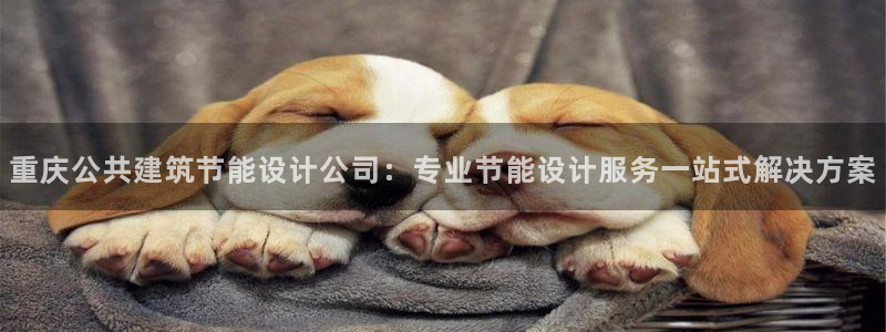 e尊国际官网：重庆公共建筑节能设计公司：专业节能设计服务一站式解决方案