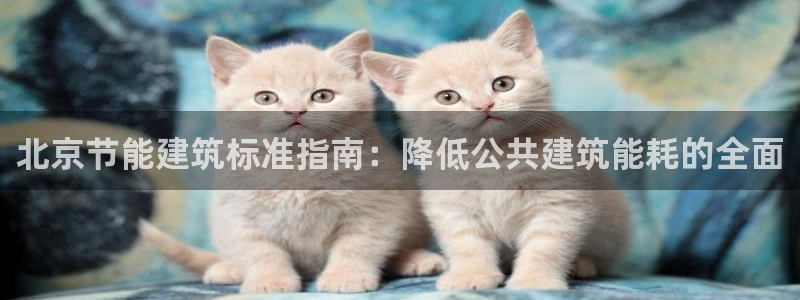e尊国际官网：北京节能建筑标准指南：降低公共建筑能耗的全面