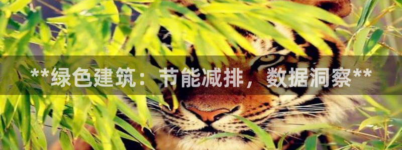 e尊国际是个黑网：**绿色建筑：节能减排，数据洞察**
