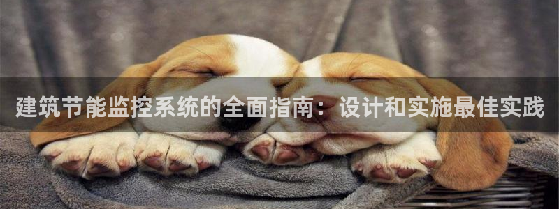 e尊国际的手机登录网站：建筑节能监控系统的全面指南：设计和实施最佳实践