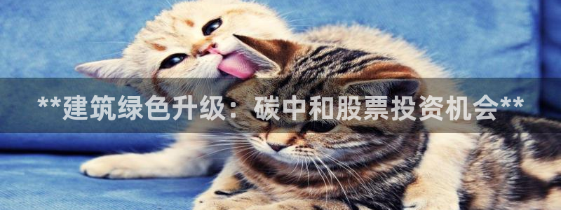 e尊国际是干什么的