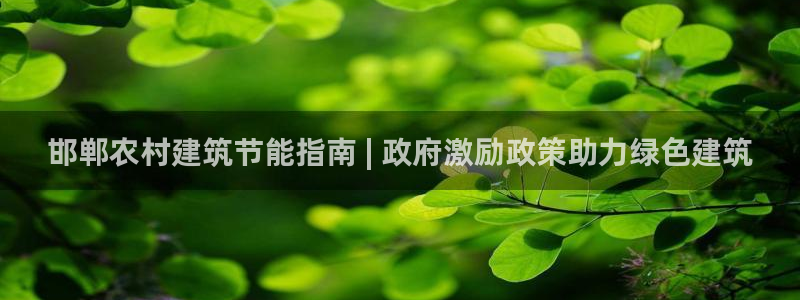 e尊国际平台