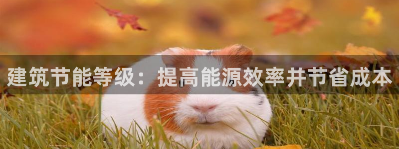 e尊体育：建筑节能等级：提高能源效率并节省成本