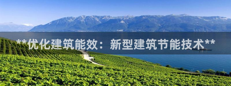 e尊国际娱乐官网地址：**优化建筑能效：新型建筑节能技术**