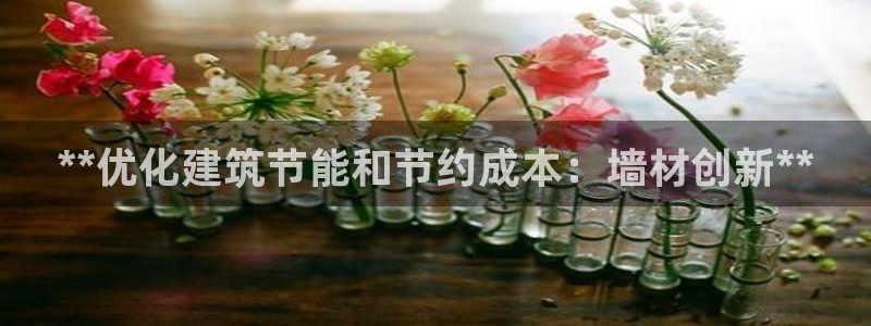 尊亿娱乐国际官网：**优化建筑节能和节约成本：墙材创新**