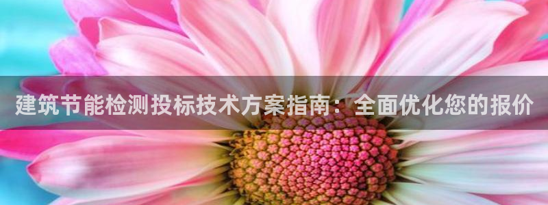 e尊国际可靠吗：建筑节能检测投标技术方案指南：全面优化您的报价