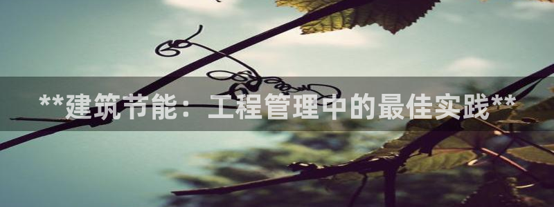 e尊国际平台：**建筑节能：工程管理中的最佳实践**