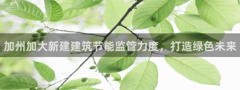 e尊国际娱乐官网下载